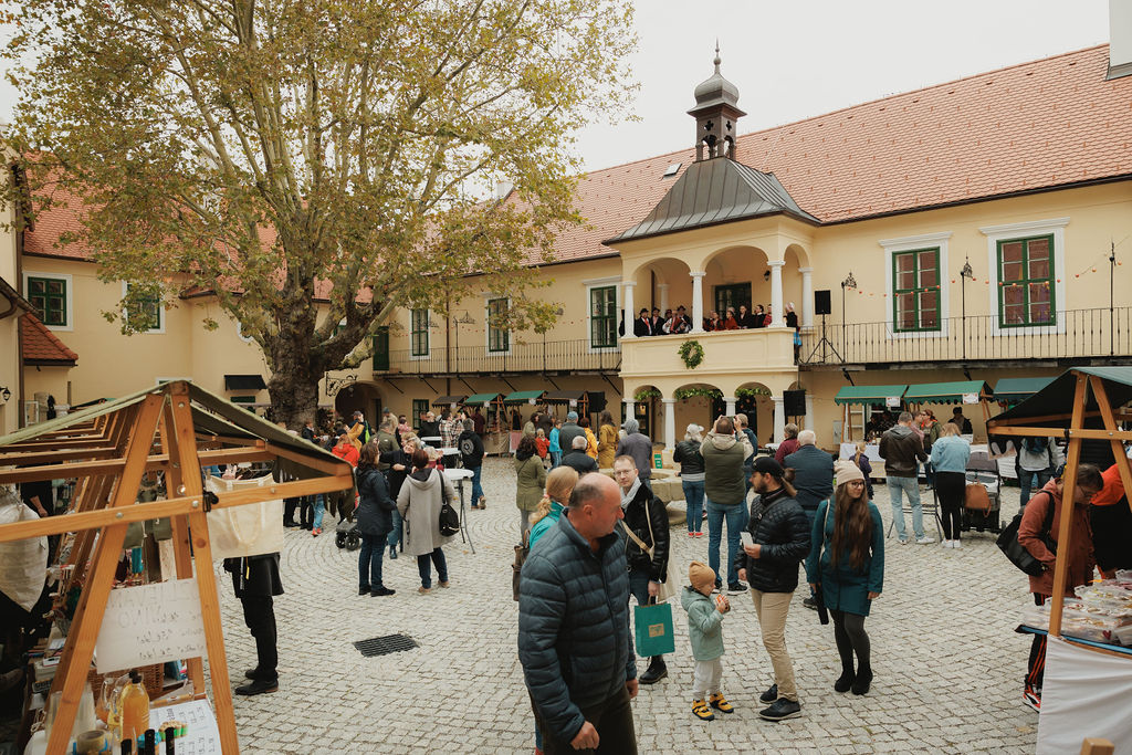 Pozadie článok banner